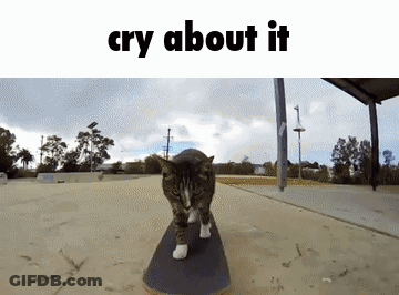 Cat Riding Skateboard Saying Cry About It GIF