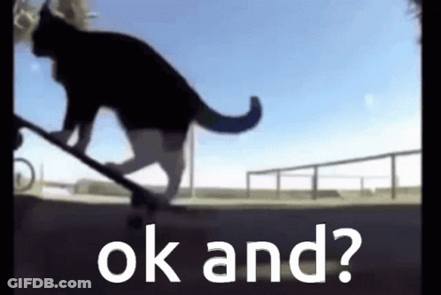Cat Riding Skateboard With Ok GIF