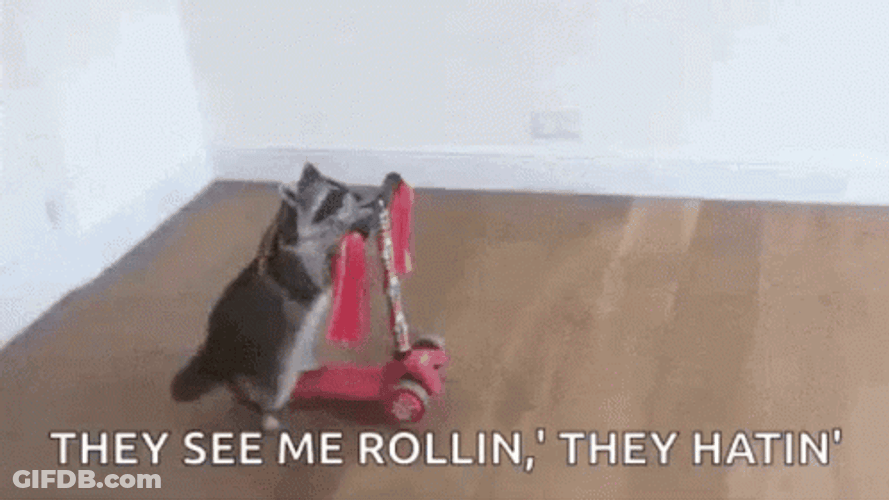 Cat Riding They See Me Rollin GIF