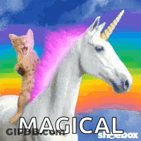 Cat Riding Unicorn With Rainbow Mane GIF