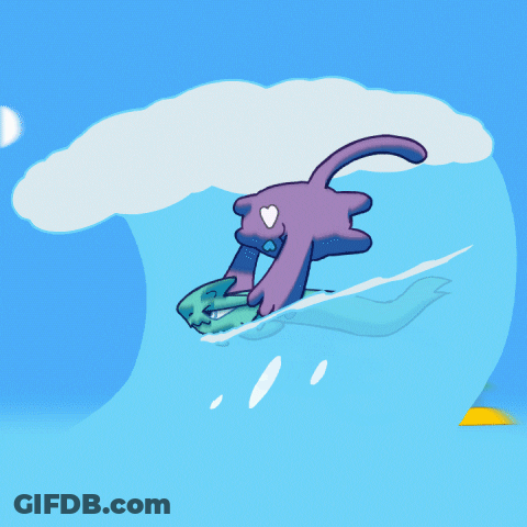 Cat Riding Wave Saying Hang In There GIF