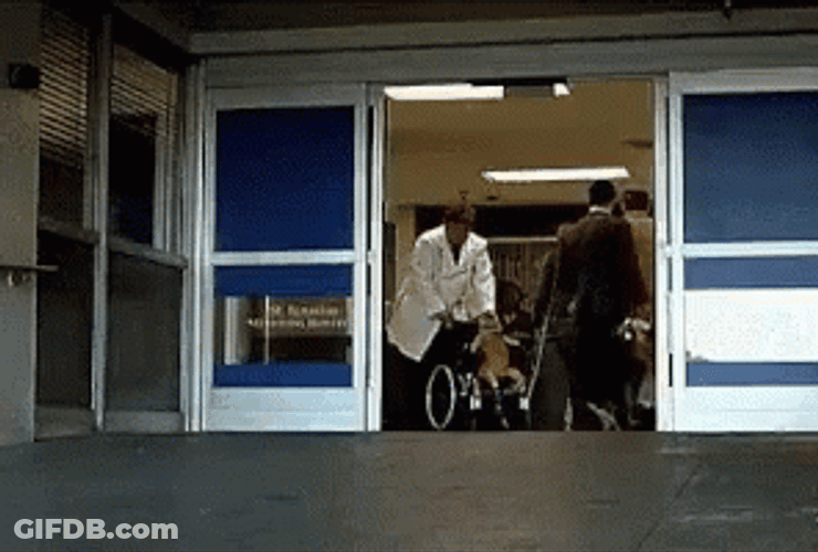 Cat Riding Wheelchair GIF