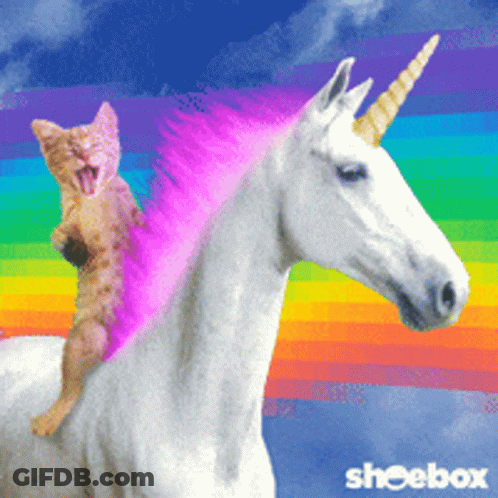 Cat Riding White Unicorn GIF