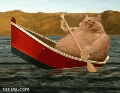 Cat Rowing Boat Elvisweathercock GIF