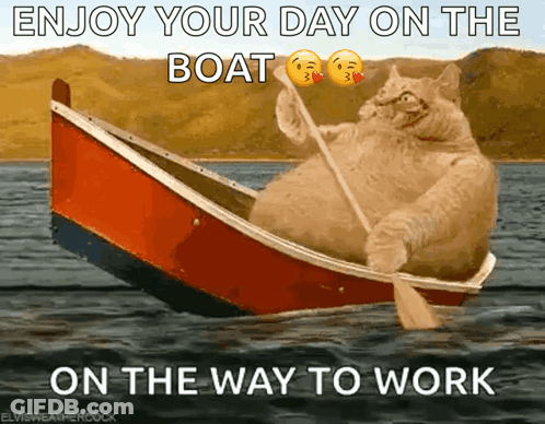 Cat Rowing Boat Enjoy Your Day GIF