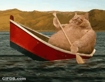 Cat Rowing Boat In Water GIF