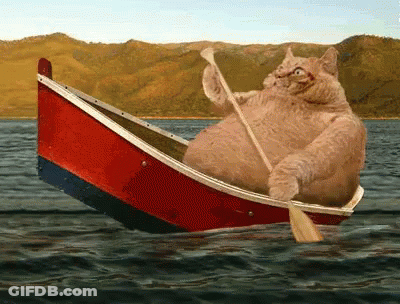 Cat Rowing Boat On Lake GIF