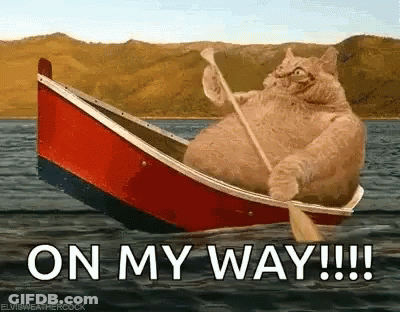 Cat Rowing Boat On My Way GIF