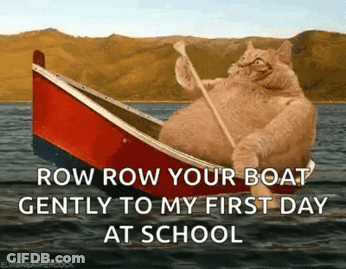 Cat Rowing Boat Saying Row Row Your Boat GIF
