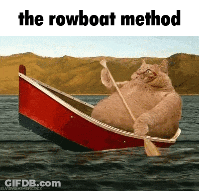 Cat Rowing Boat The Rowboat Method GIF
