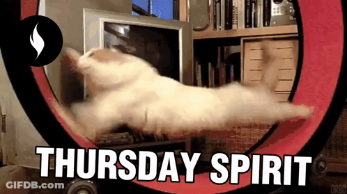 Cat Running On Hamster Wheel Saying Thursday Spirit GIF