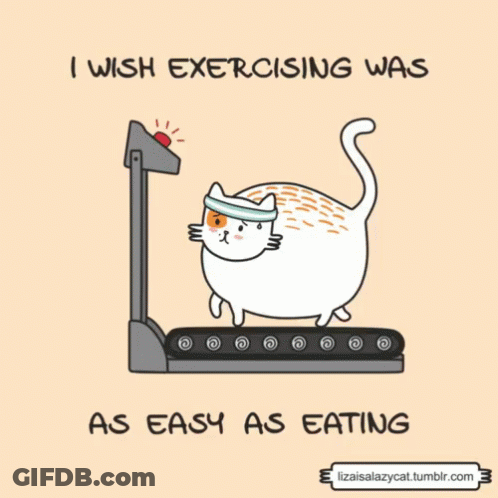 Cat Running On Treadmill I Wish Exercising Was As Easy As Eating GIF