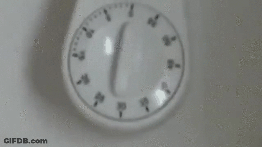 Cat Running Scared On Timer GIF