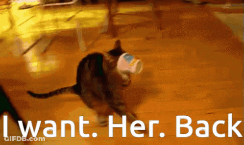 Cat Running With Cup Saying I Want Her Back GIF