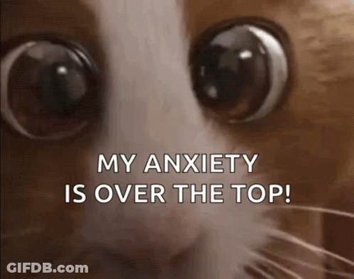 Cat's Eyes My Anxiety Is Over The Top GIF