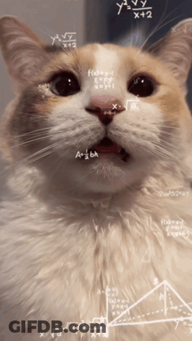 Cat's Face With Mathematical Equations GIF
