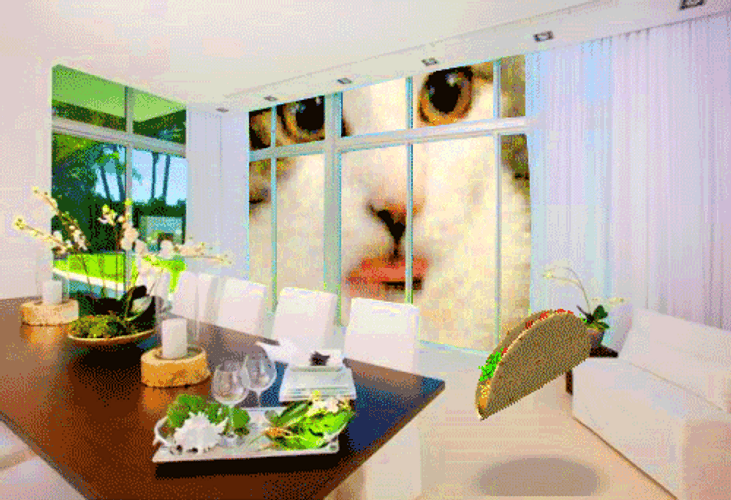 Cat Salivating Over Dirty Taco Tuesday GIF