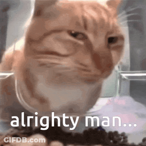 Cat Saying Alrighty Man GIF