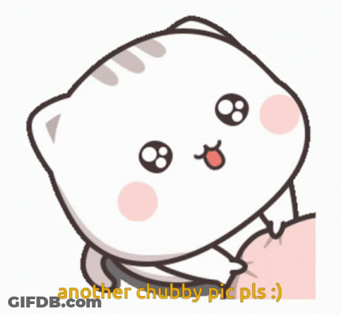 Cat Saying Another Chubby Pic Pls GIF