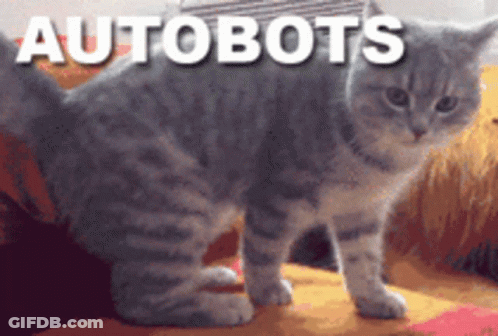 Cat Saying Autobots GIF