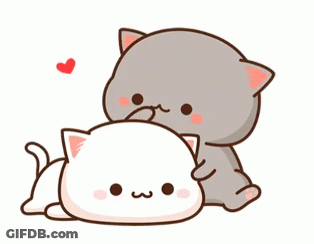 Cat Saying Before GIF
