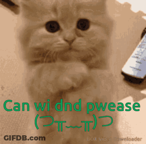 Cat Saying Can Wi Dnd Pwease GIF