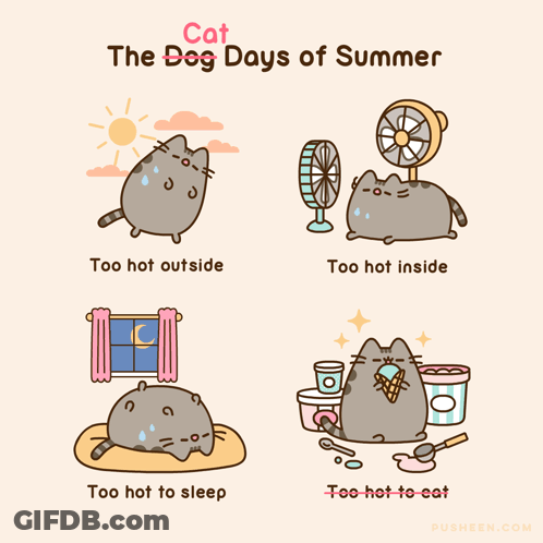 Cat Saying Cat The Dog Days Of Summer GIF