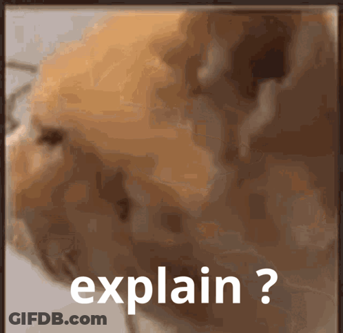Cat Saying Explain GIF