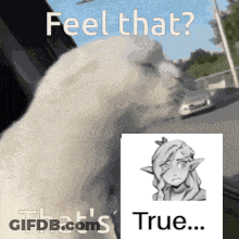 Cat Saying Feel That That's True GIF