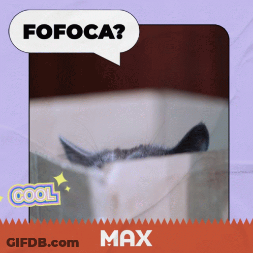 Cat Saying Fofoca GIF