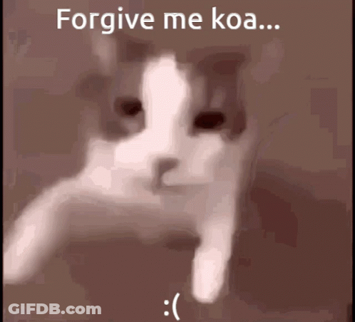 Cat Saying Forgive Me Koa GIF