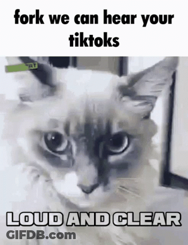 Cat Saying Fork We Can Hear Your Tiktoks Loud And Clear GIF