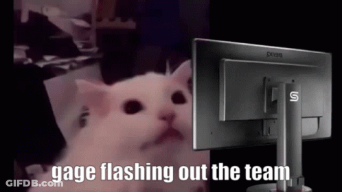 Cat Saying Gage Flashing Out The Team GIF