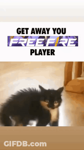 Cat Saying Get Away You Freefire Player GIF
