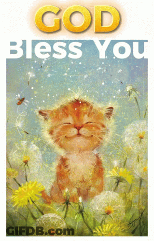 Cat Saying God Bless You GIF
