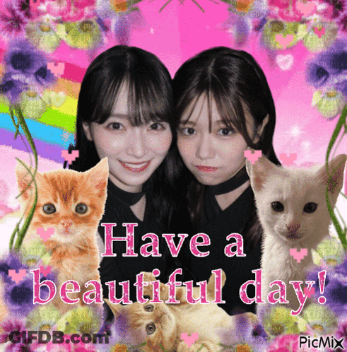 Cat Saying Good Morning And God Bless You GIF