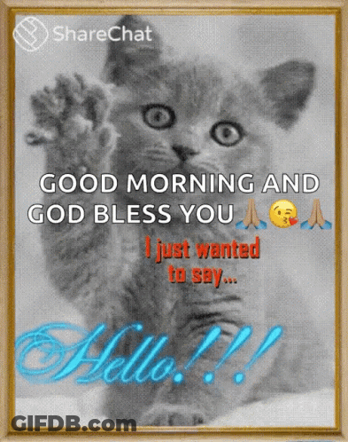 Cat Saying Good Morning And God Bless You GIF
