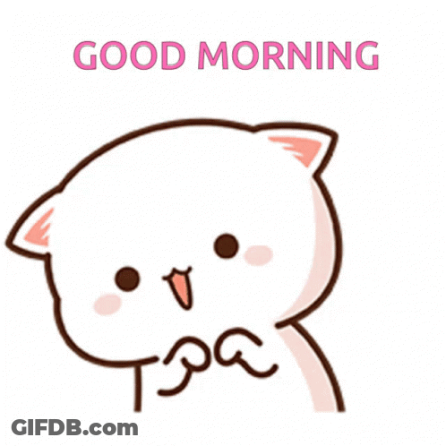 Cat Saying Good Morning GIF