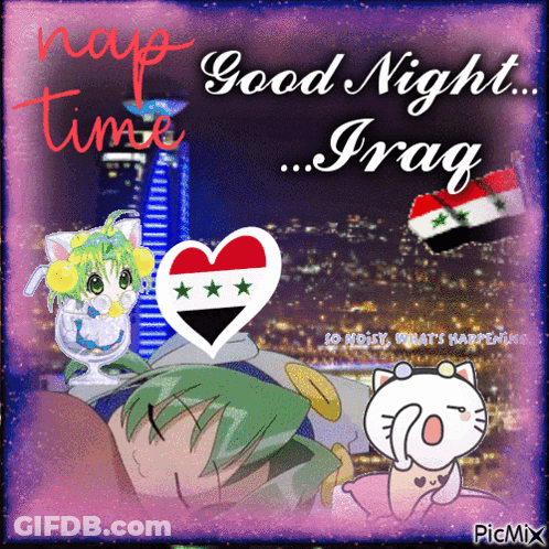 Cat Saying Good Night Iraq GIF