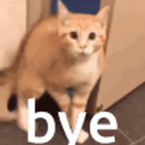Cat Saying "Goodbye" GIF