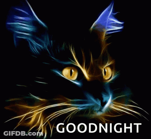 Cat Saying Goodnight GIF