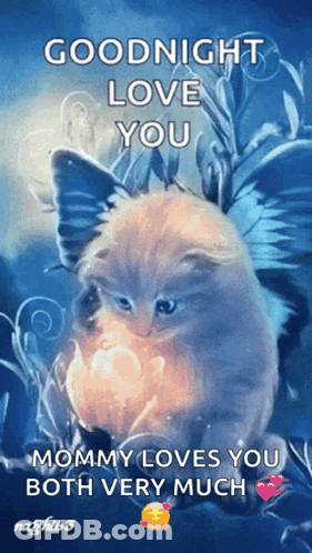 Cat Saying Goodnight Love You Mommy GIF