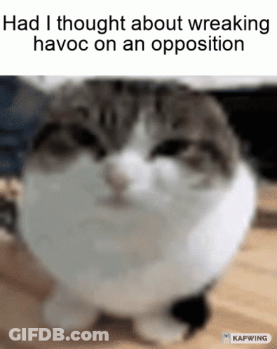 Cat Saying Had I Thought About Wreaking Havoc On An Opposition GIF