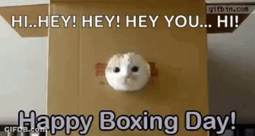 Cat Saying Happy Boxing Day In Box GIF