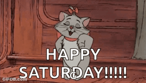 Cat Saying Happy Saturday GIF