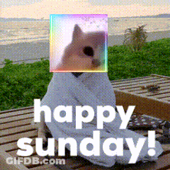 Cat Saying Happy Sunday GIF