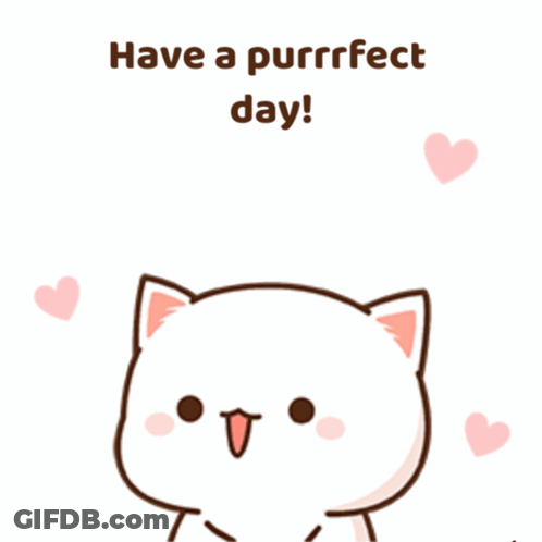 Cat Saying Have A Purrfect Day GIF