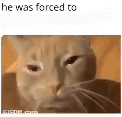 Cat Saying He Was Forced To GIF