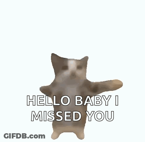 Cat Saying Hello Baby I Missed You GIF