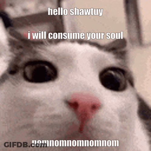 Cat Saying Hello Shawtuy I Will Consume Your Soul Nomnomnom GIF
